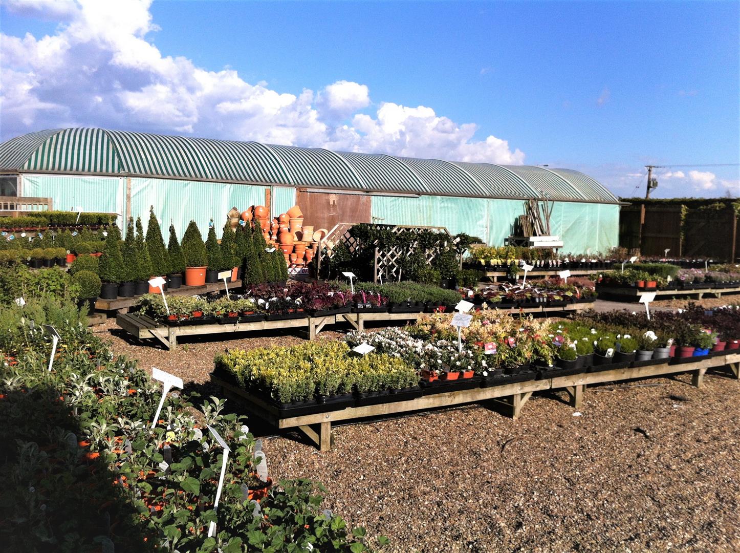 Middle Lane Nursery & Garden Centre, Middle Lane Nursery & Garden Centre, Preston, Hull, HU12 8TQ